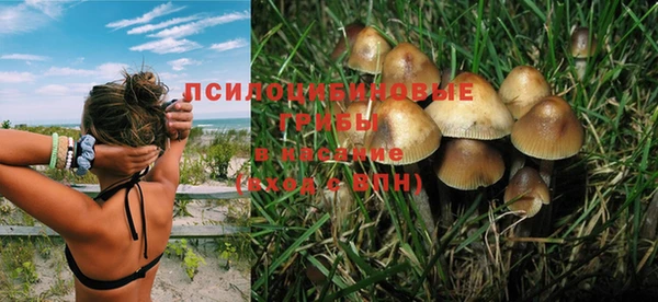 прущая мука Алзамай